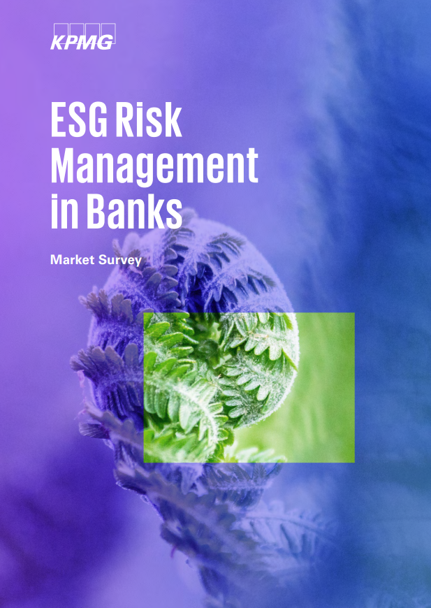 Insight ESG Risk Management In Banks